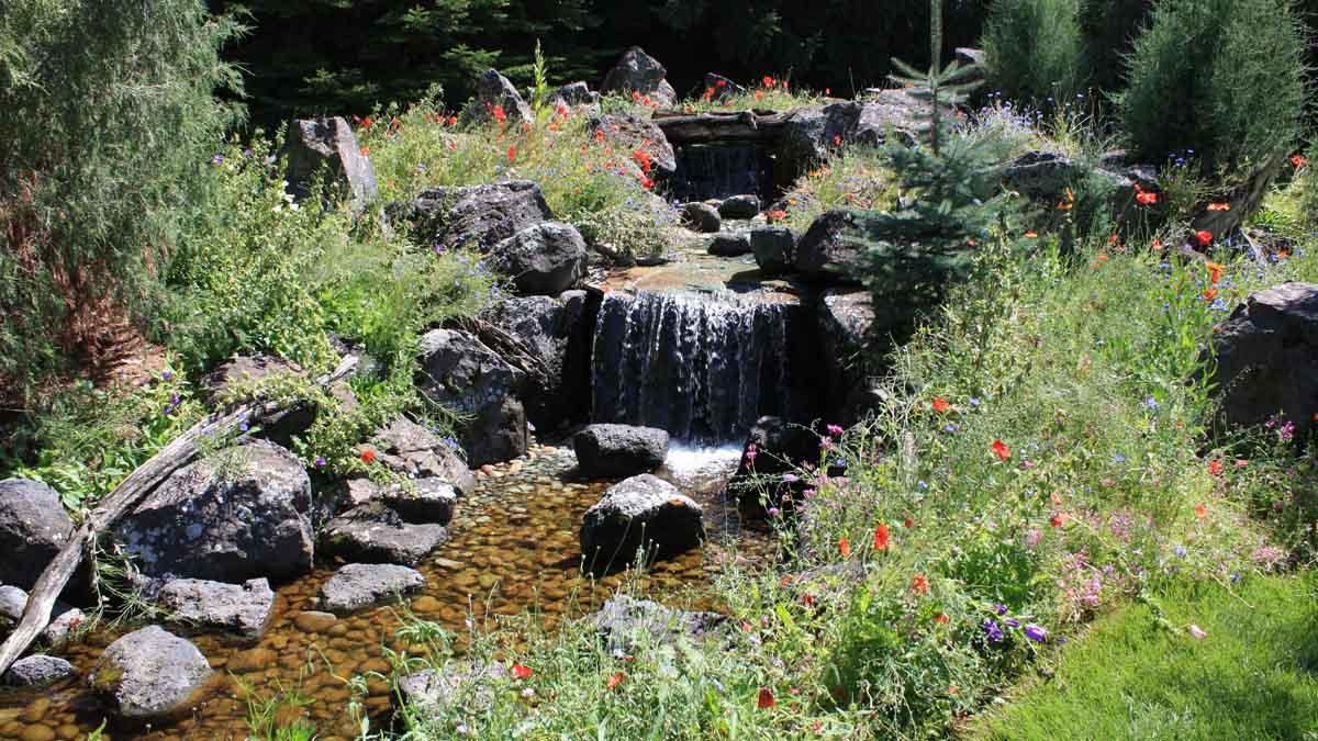 A flower garden and water element in landscaping