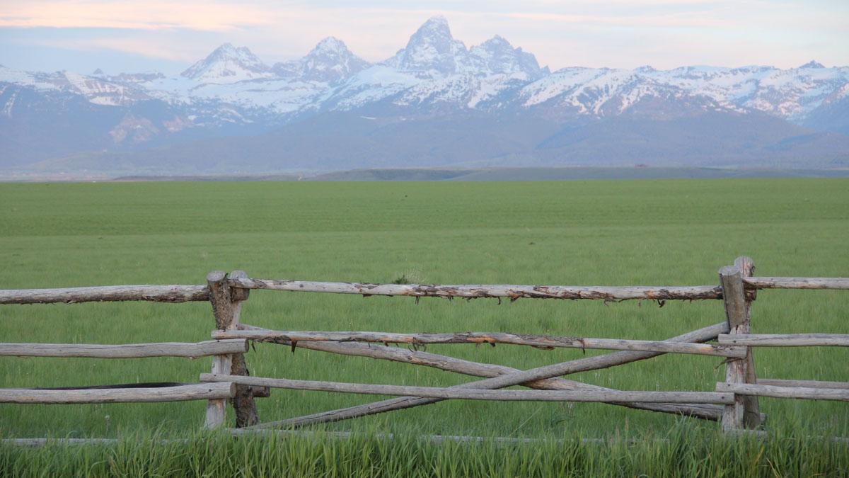 The landscape view of a field of grass and the Teton mountains in Teton County