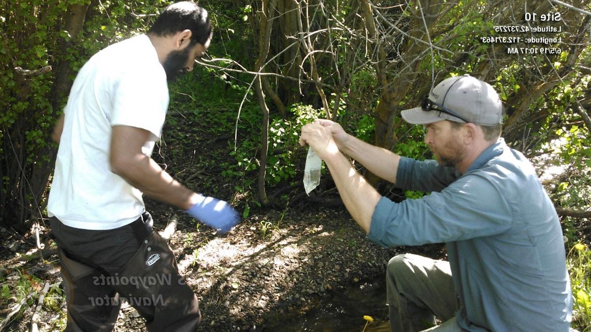 两名研究人员在Mink Creek采集样本.